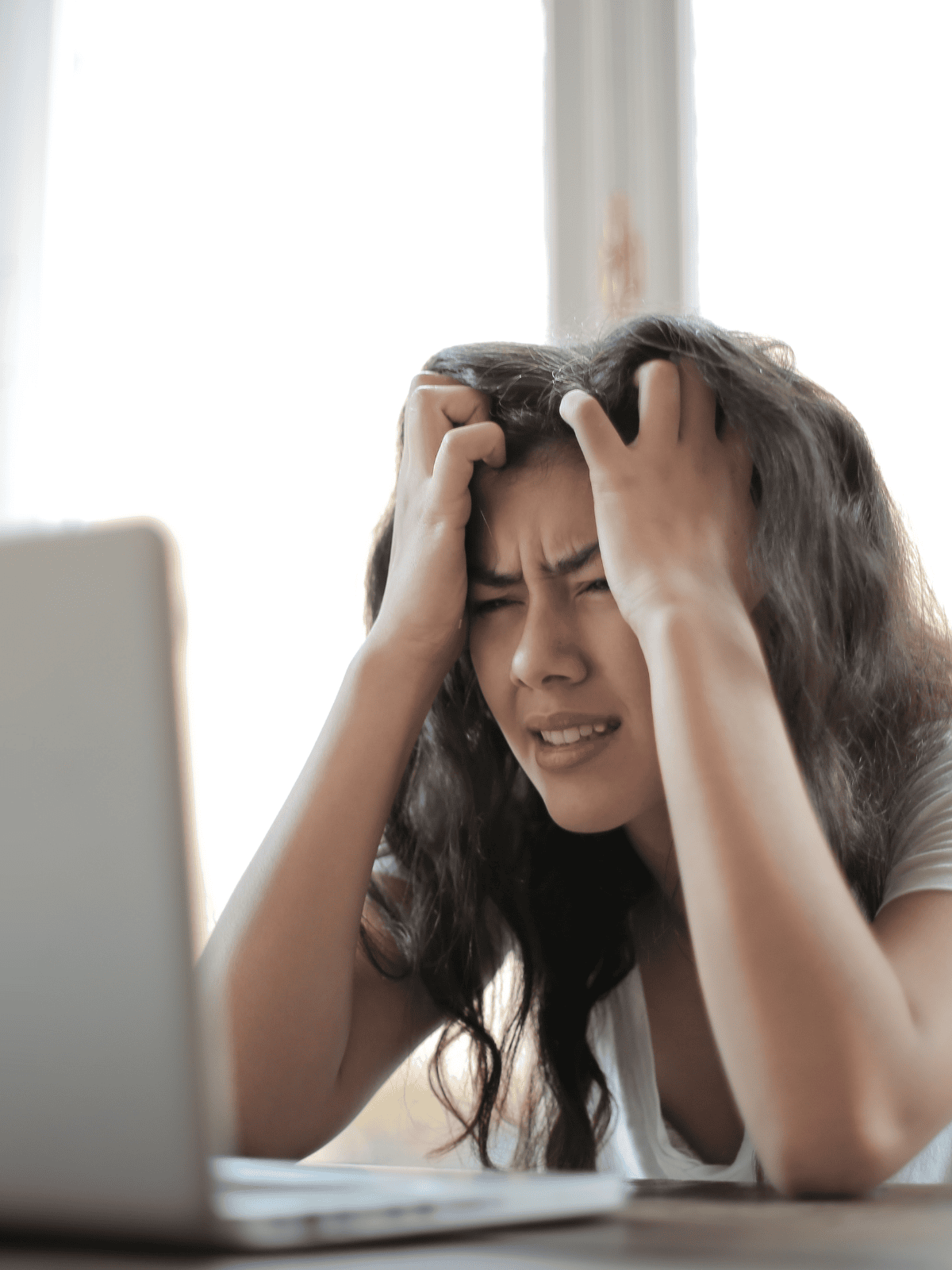 weboptimizer seo agentur muenchen