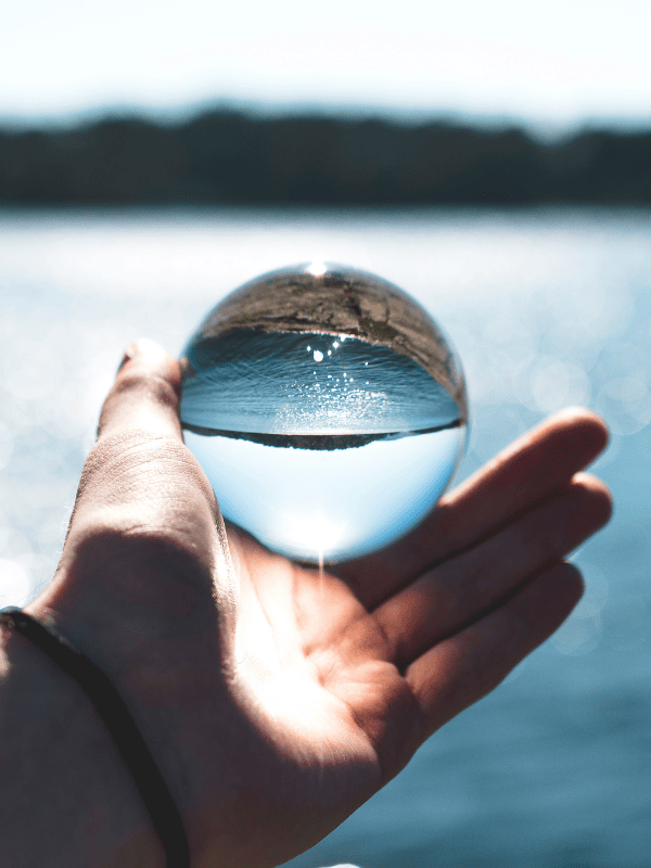 status check premium klarheit