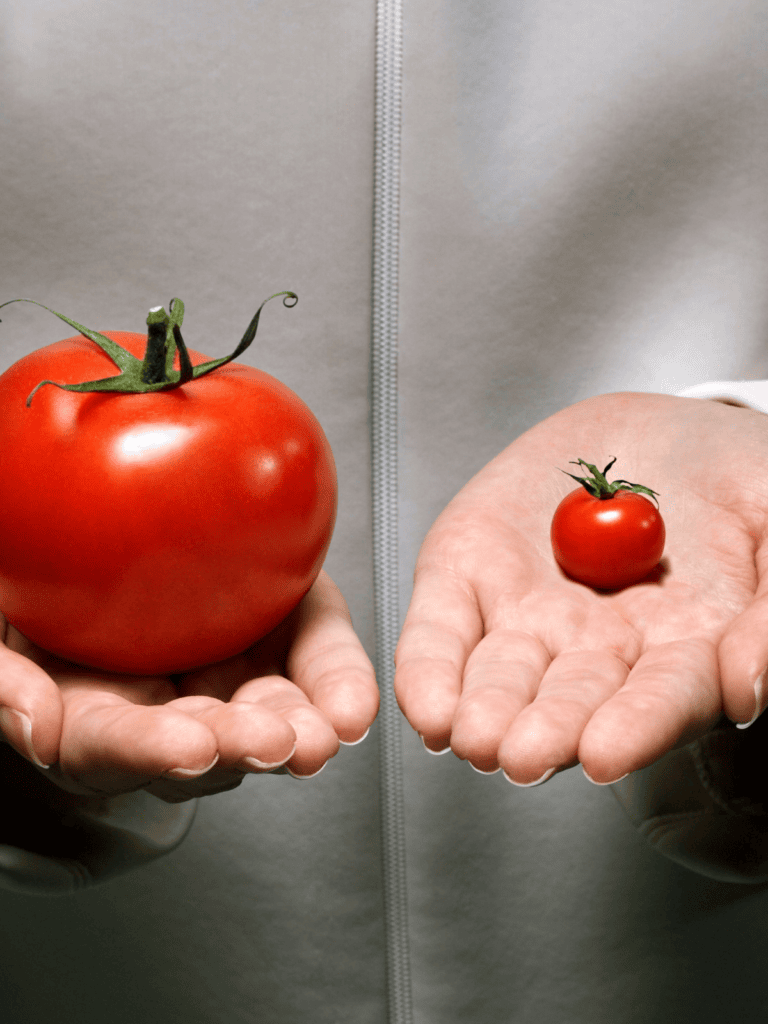 webdesign angebote vergleichen