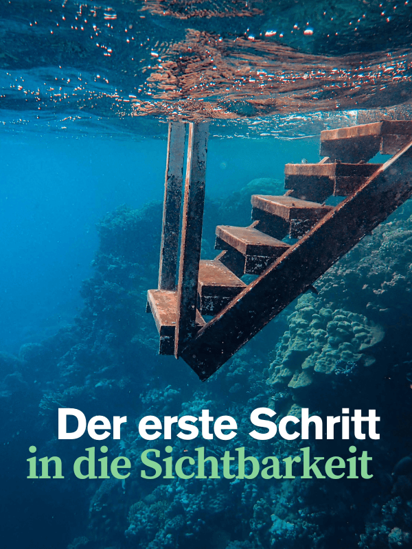 weboptimizer der erste schritt in die sichtbarkeit