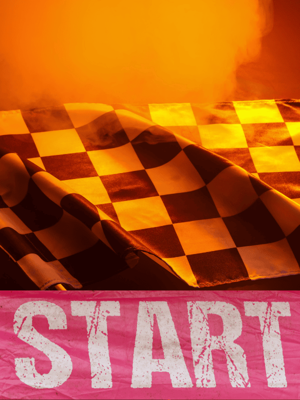 weboptimizer start in die sichtbarkeit